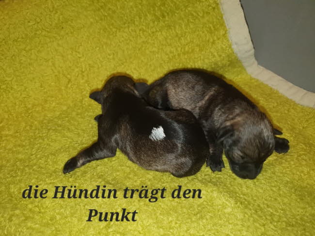 326557178_837996323962907_8549767664379038790_n