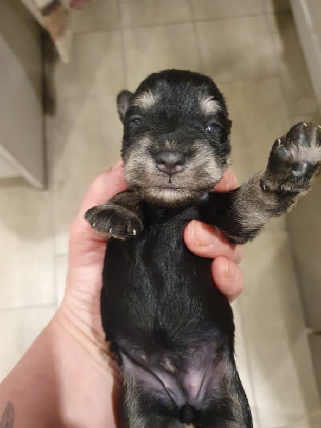 326565309_581041553981941_5384169169406725558_n