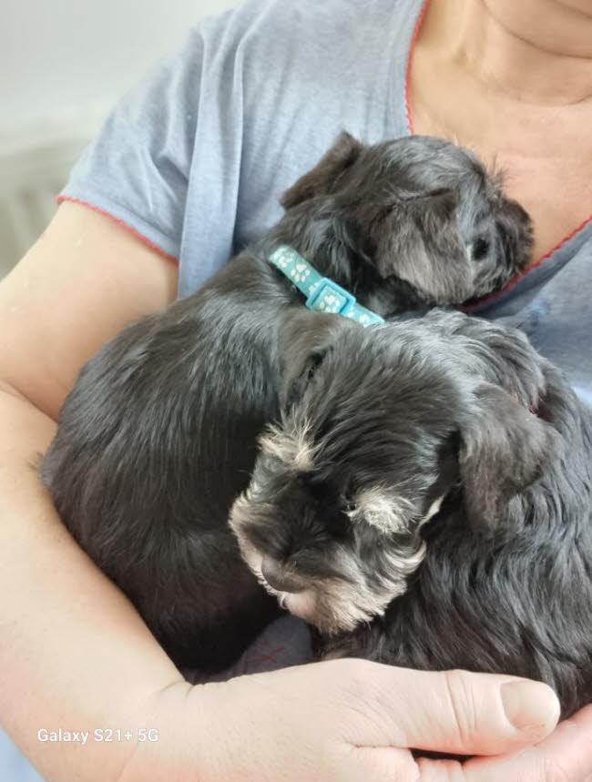 326571125_1896636924028344_5238005213614356861_n