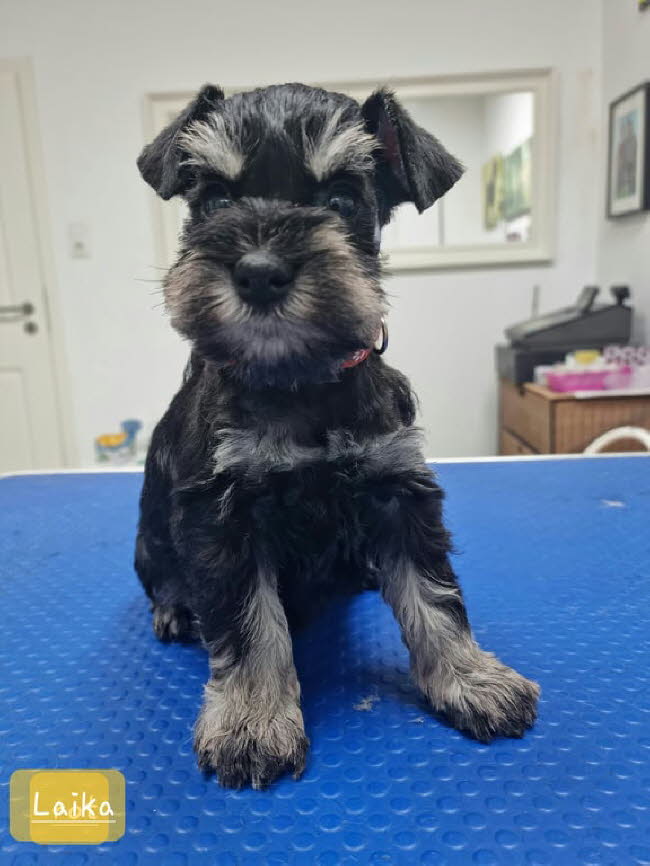 326572145_727058015533691_3552346905228215051_n