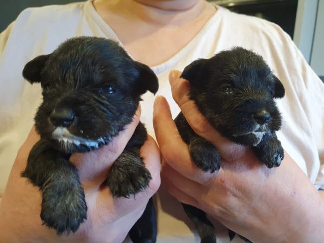 326682969_542940447790624_8120802500023925191_n