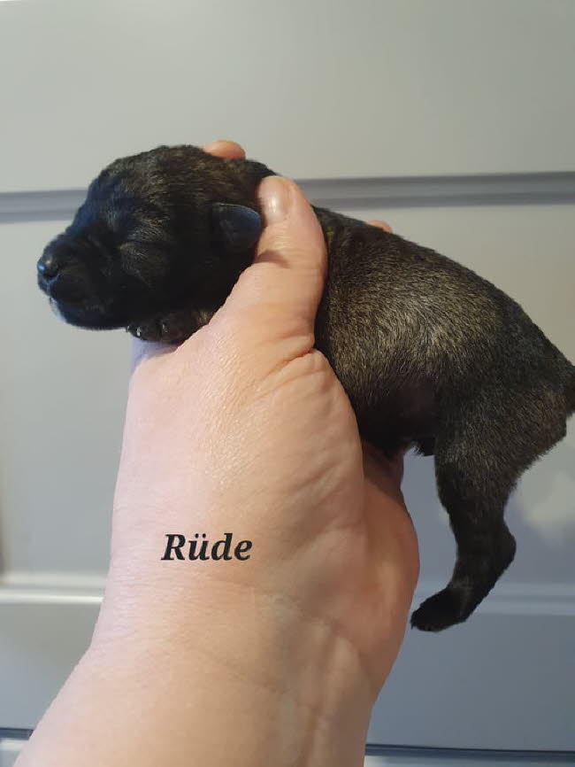 326684908_3283709235182508_7520993164385029544_n