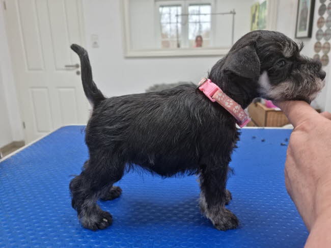 326748066_706279511169298_7593088421658904446_n