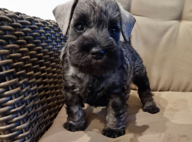 331933441_188534307148959_2142944757077399492_n