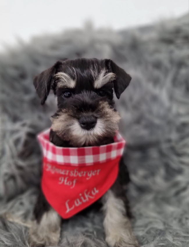 331941511_3371972339731027_8421012448152409554_n