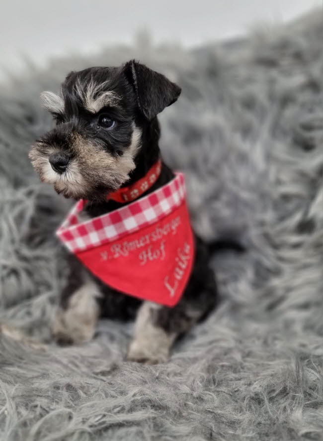 331962240_5927526973991428_1431431280497492155_n