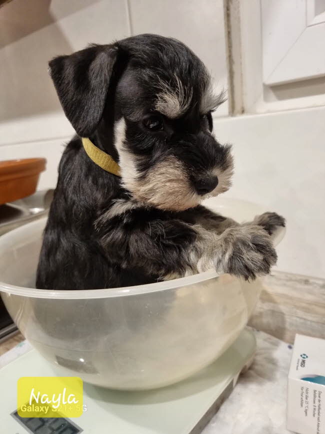 331980534_736406044545863_4808509933992363118_n