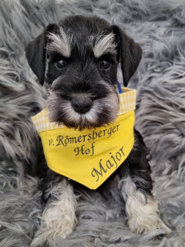 332063199_191465623501713_8074423085337086464_n