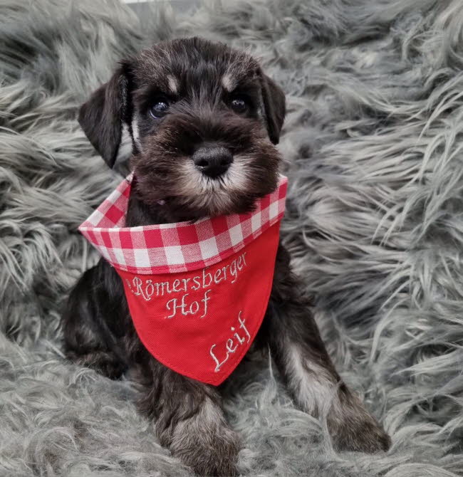 333761631_593526815978959_8192942429820863743_n