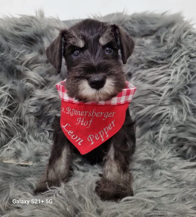 333976488_191793046777981_6400564647178371722_n