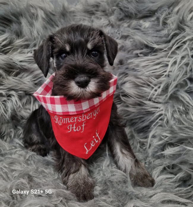 334017824_504807381627527_5247969381070820946_n