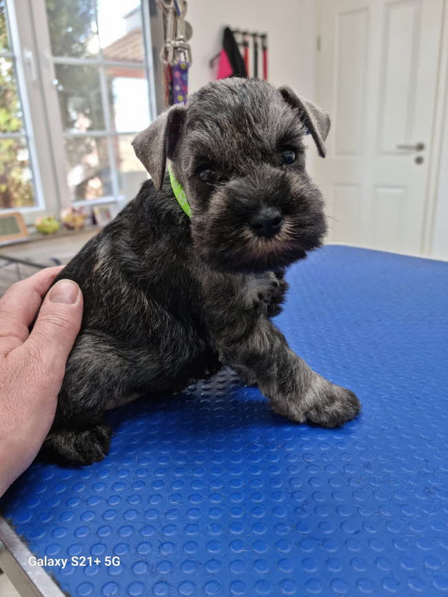 334094334_3496319960589485_8479862542552389672_n