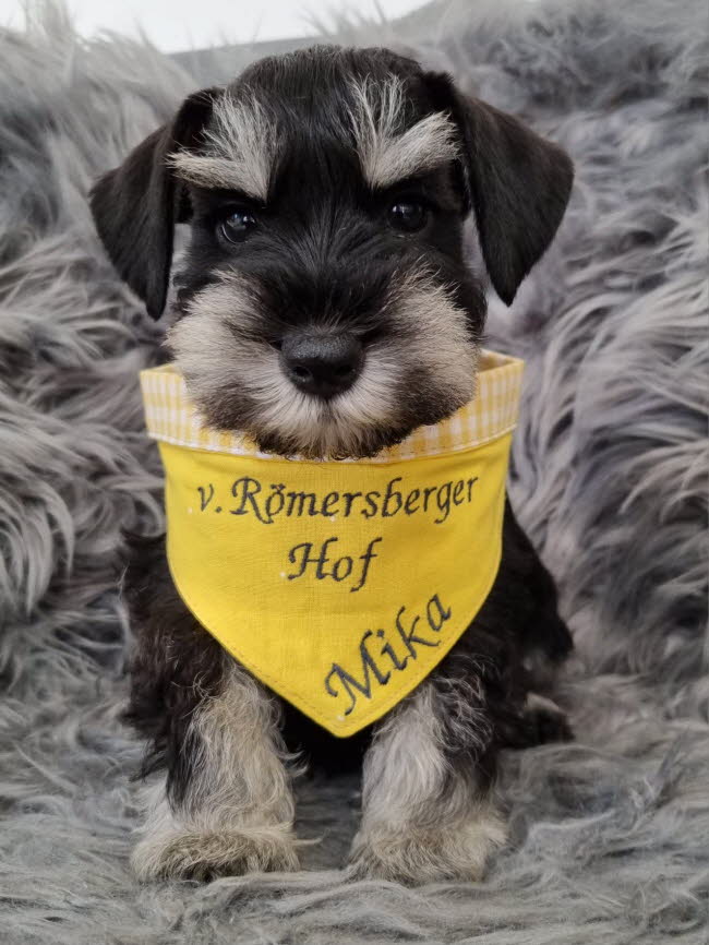 334130473_230032972820448_7046874639760253379_n