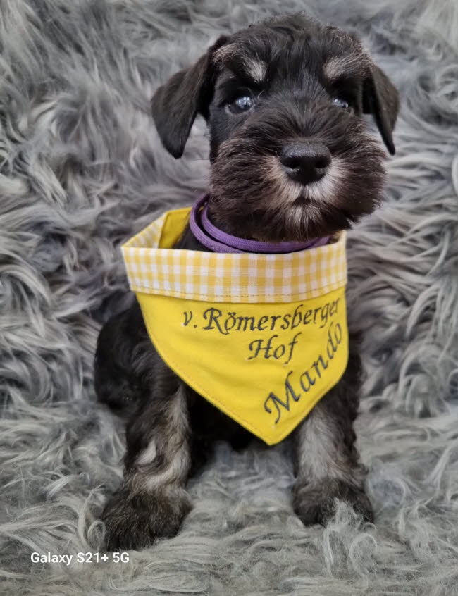 334203229_911882750260607_8811116170055865987_n