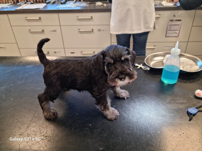 334234913_610484874432593_2058319125378026796_n