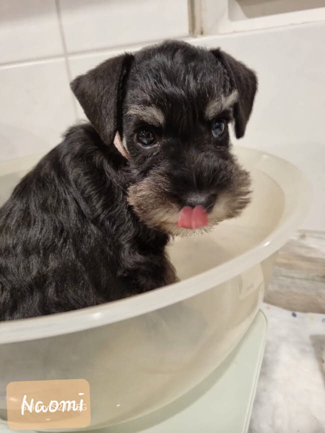 334259500_2424714501024866_8237518280894654031_n