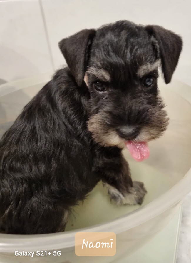 334337117_151442067777284_7669952540821462183_n