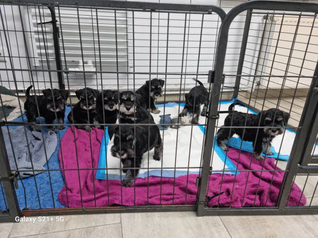 334810050_3478015889153779_1153943945967315353_n