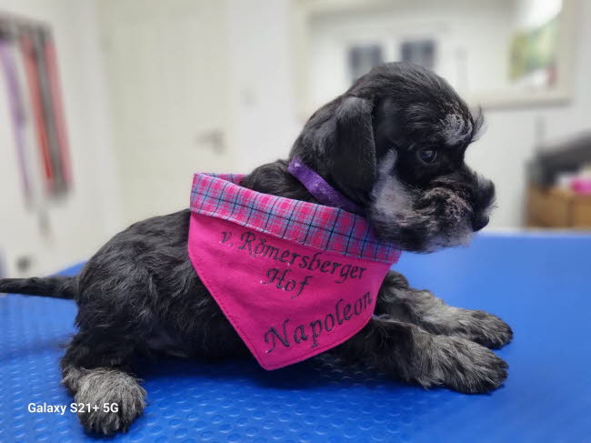 334884098_993901812014958_2402631658570370792_n