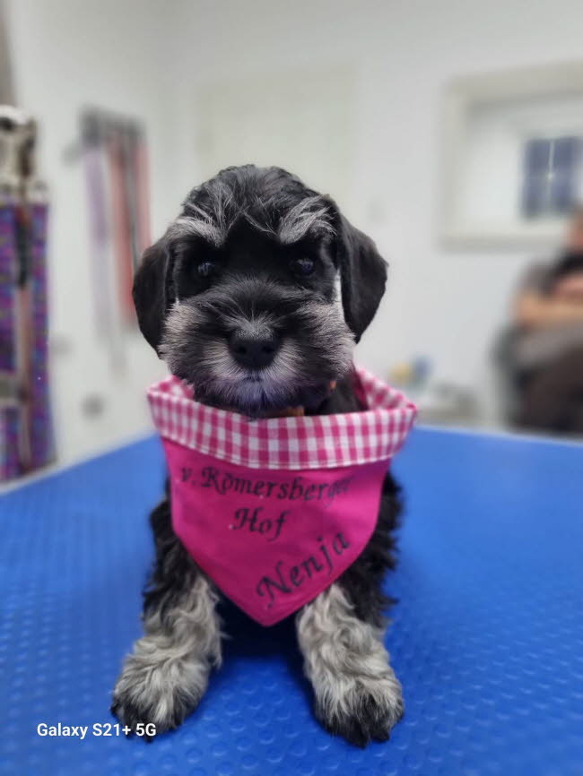 334900215_1374858196614903_8637550406403330132_n