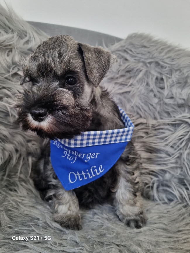 335929149_137150049295248_77470223288493609_n