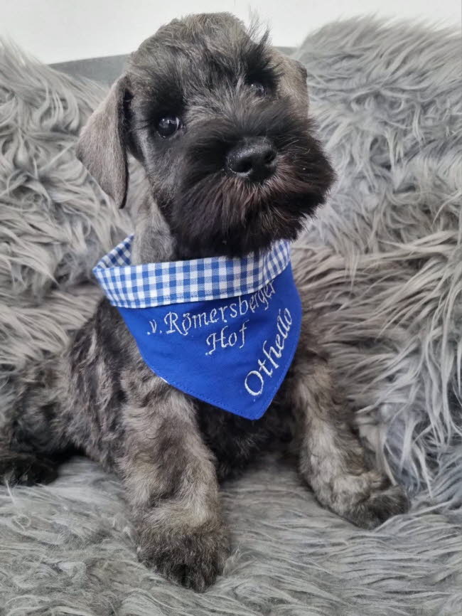 335961578_198695096128897_417462575848703236_n