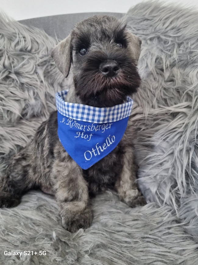 335963148_6147628785312744_1343599353753360293_n