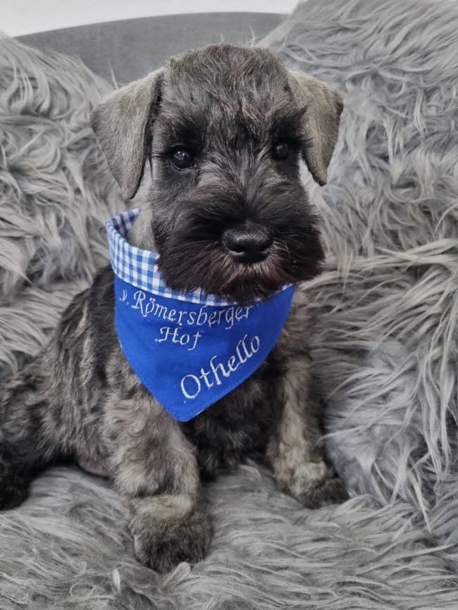 335992375_743894863866308_7426042203347602821_n