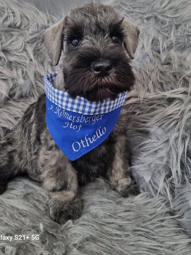 336166174_732149531784138_3895499194006244007_n