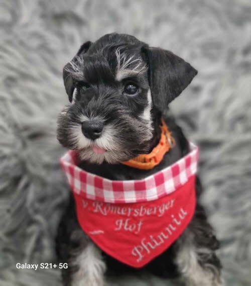 428833745_984045493355361_6415715666298305509_n