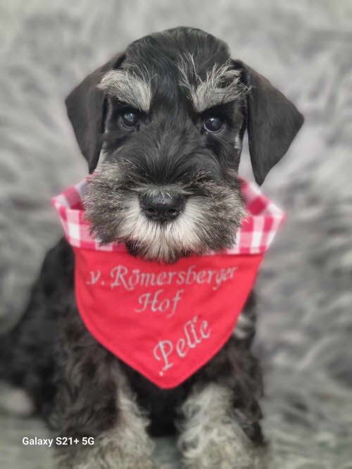 428845113_411318711430375_2070489173837786508_n