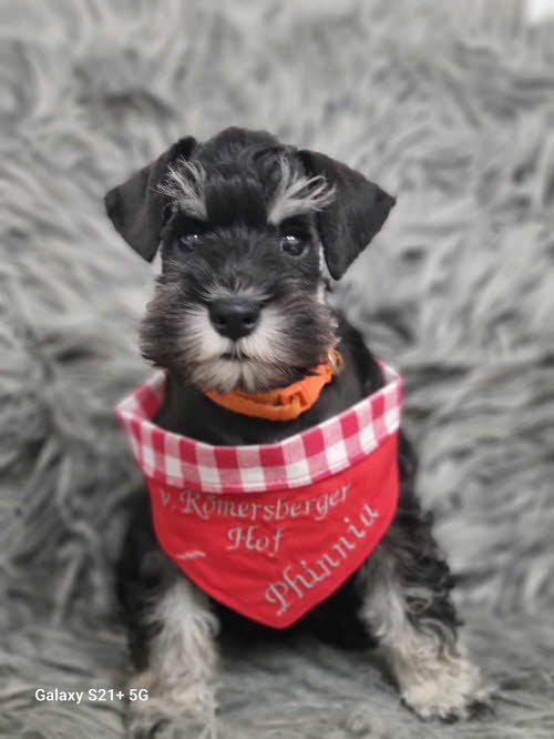 429320481_1479862379547697_3837217046712101671_n