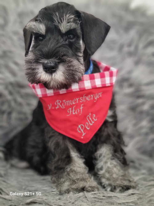 429340561_1301086750563131_4273040115444746399_n