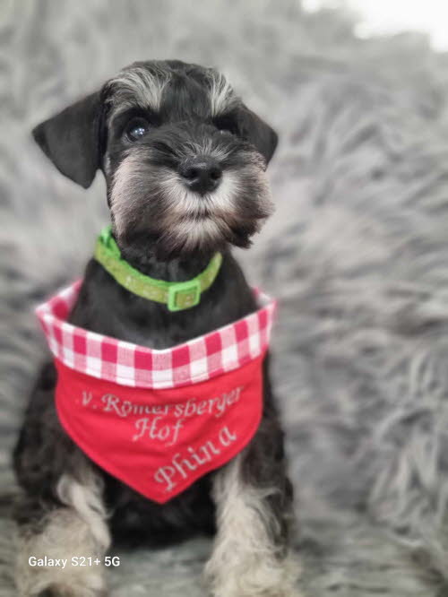 429342899_692274689498601_5374921618299221242_n