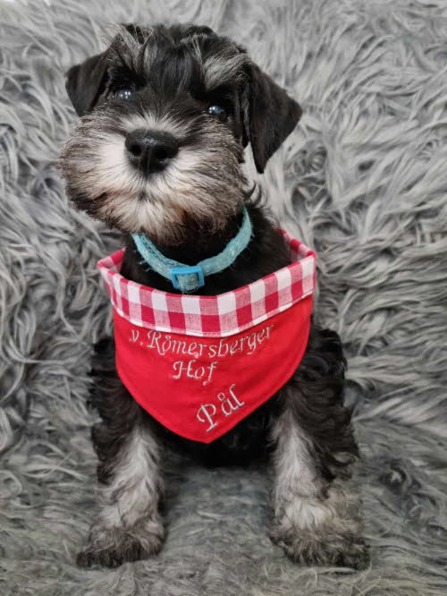 429348162_416145867441099_1436716203647614202_n