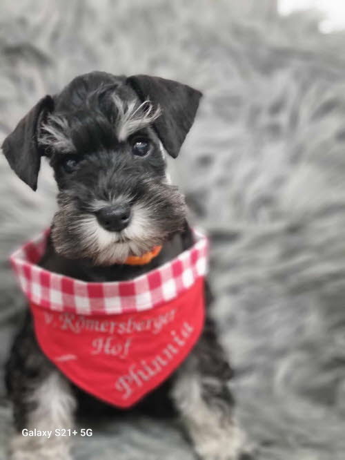 429371634_338243042545047_628152115232877057_n