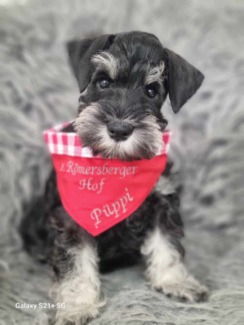 429379278_420395817019657_7360142236930334019_n