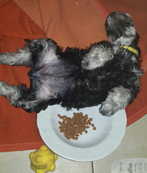 429495350_414524021064455_2428438441133320161_n